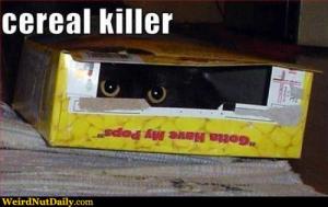 535cc702-6d8c-479b-96e8-65c869e0eb6d-original